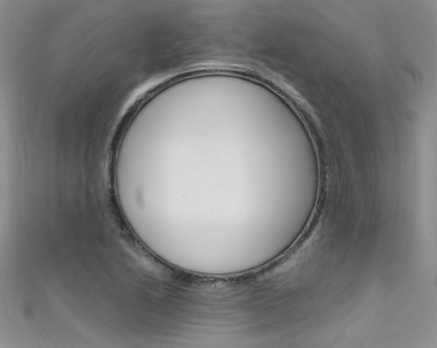 X0000111661222200907171112