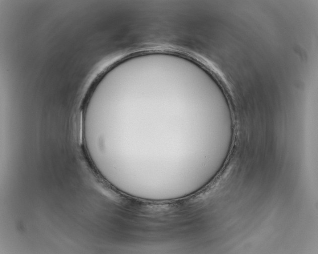 X0000111661223200907171112