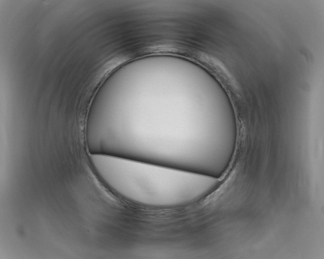 X0000111661225200907171112