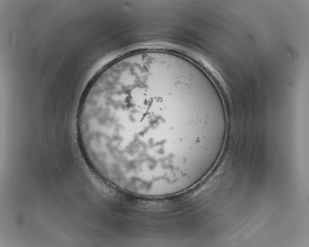 X0000111661229200907171113