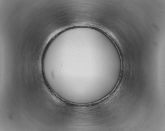 X0000111661230200907171113