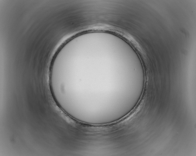 X0000111661232200907171113