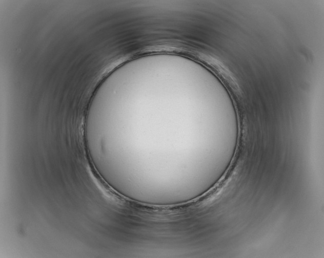 X0000111661233200907171113