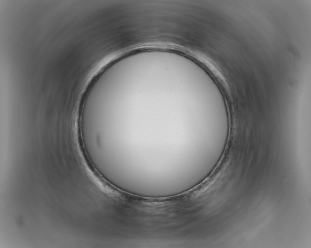 X0000111661237200907171113