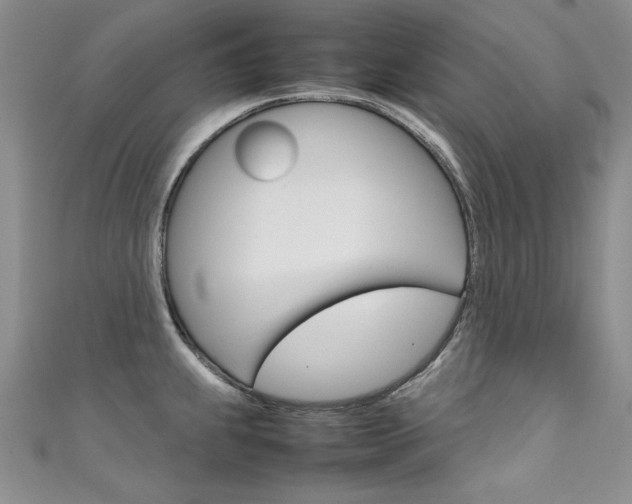 X0000111661239200907171113
