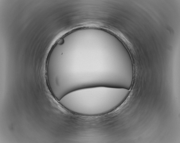 X0000111661240200907171113