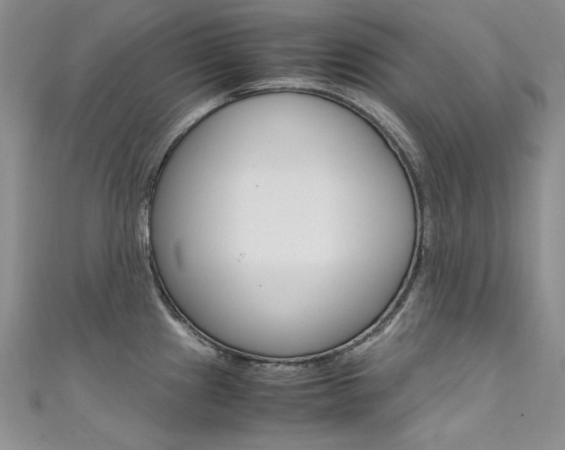 X0000111661241200907171113