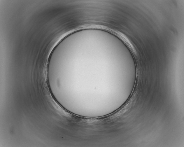 X0000111661244200907171113