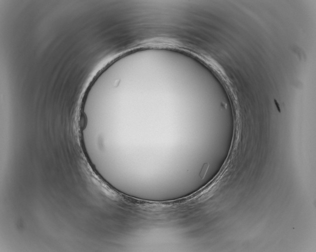 X0000111661248200907171113