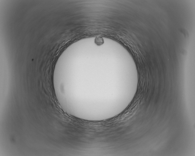 X0000111661249200907171112