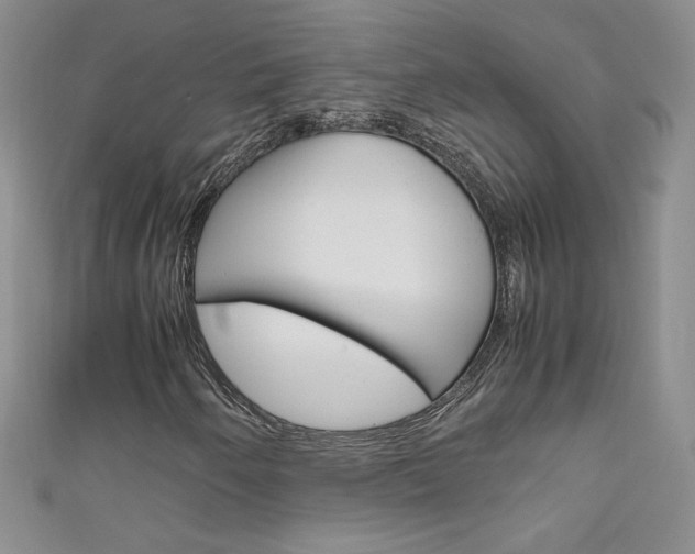 X0000111661250200907171112