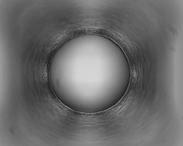 X0000111661252200907171112