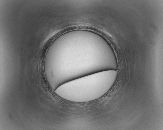 X0000111661255200907171112