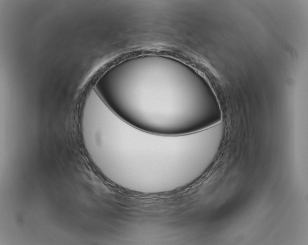 X0000111661256200907171112