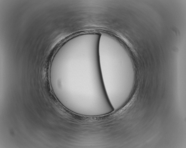 X0000111661259200907171112