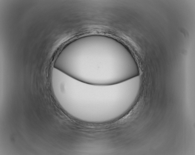 X0000111661261200907171112