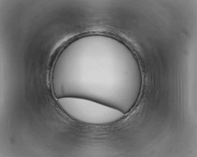 X0000111661262200907171112