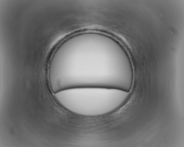 X0000111661263200907171112