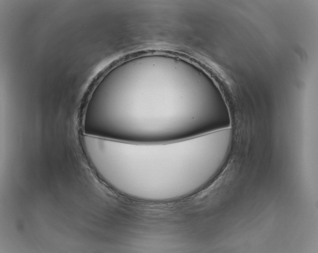 X0000111661264200907171112