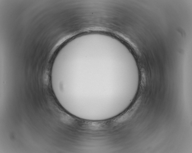 X0000111661266200907171112