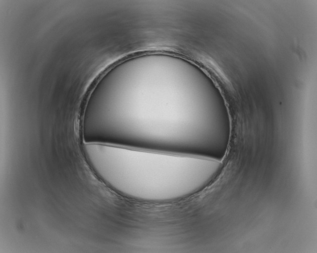 X0000111661268200907171112