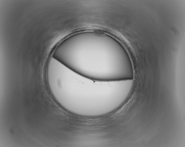 X0000111661269200907171112