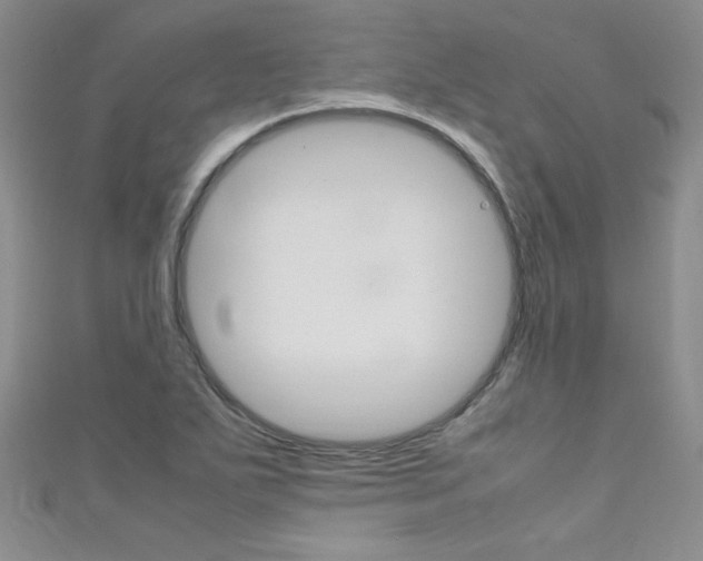 X0000111661271200907171112