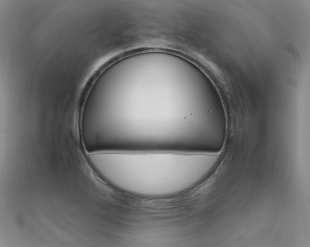 X0000111661272200907171112