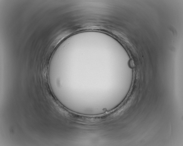 X0000111661273200907171112