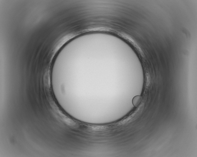 X0000111661274200907171112