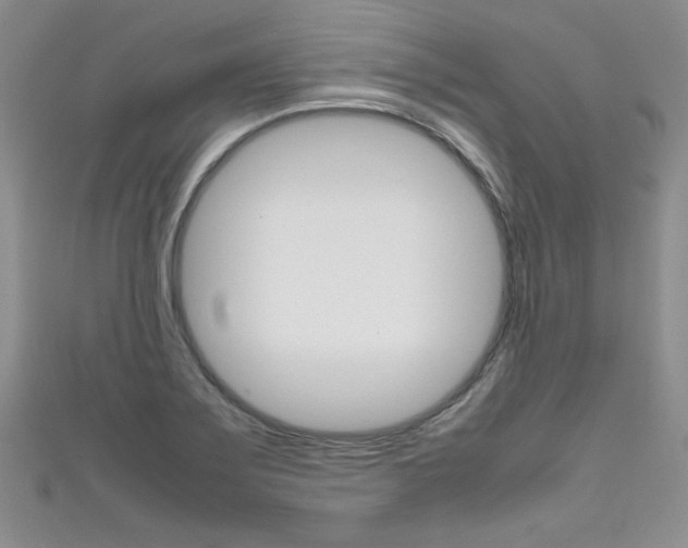 X0000111661275200907171112