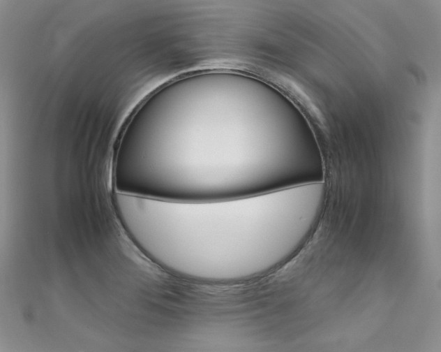 X0000111661276200907171112