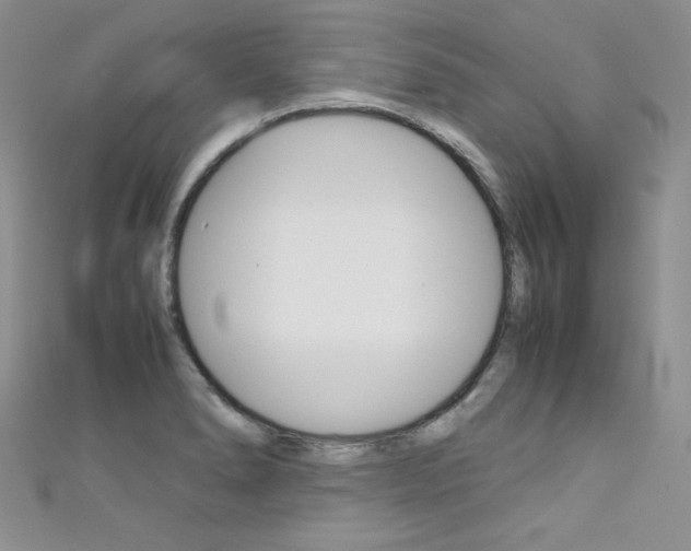 X0000111661278200907171112