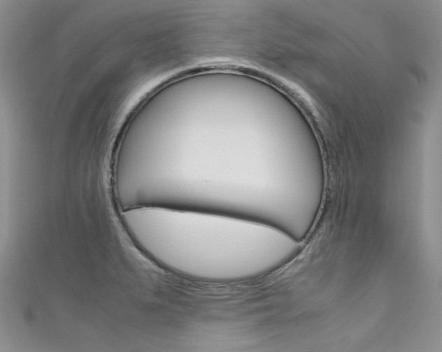 X0000111661279200907171112