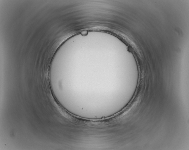 X0000111661281200907171112