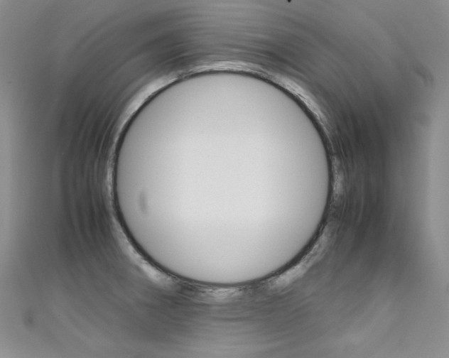 X0000111661282200907171112