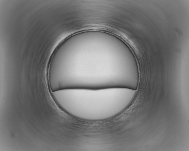 X0000111661283200907171112