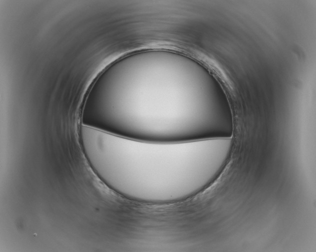 X0000111661284200907171112