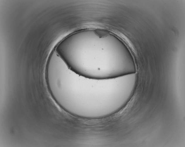 X0000111661285200907171112