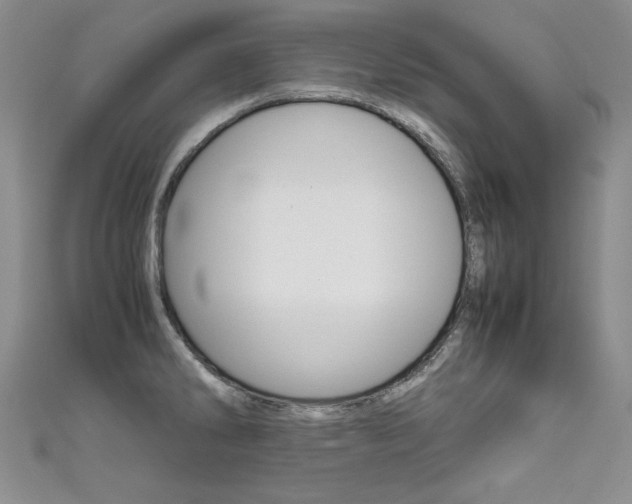 X0000111661286200907171112