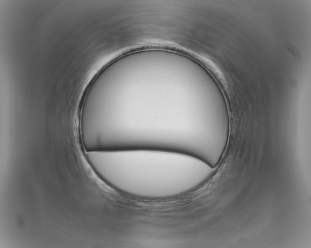 X0000111661287200907171112
