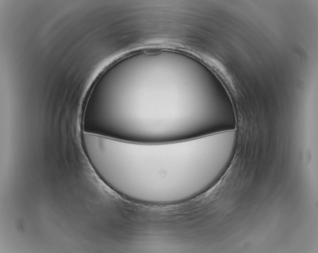 X0000111661288200907171112