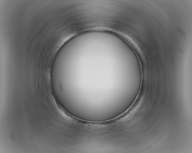 X0000111661289200907171112