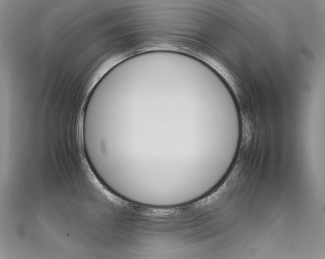 X0000111661290200907171112
