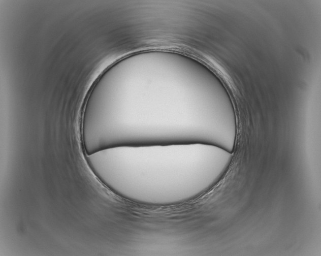 X0000111661291200907171112