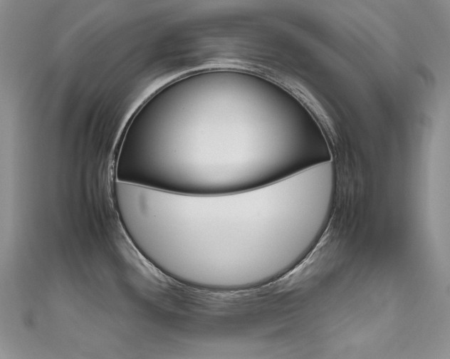 X0000111661292200907171112