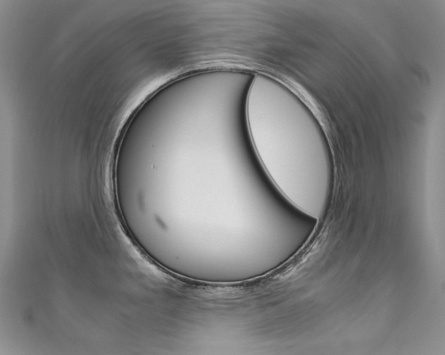 X0000111661293200907171112