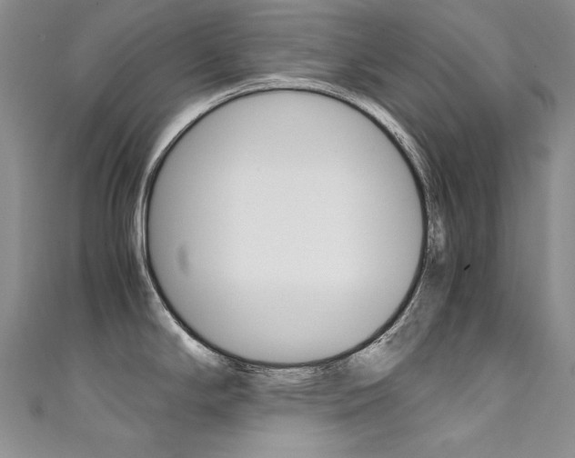 X0000111661294200907171112