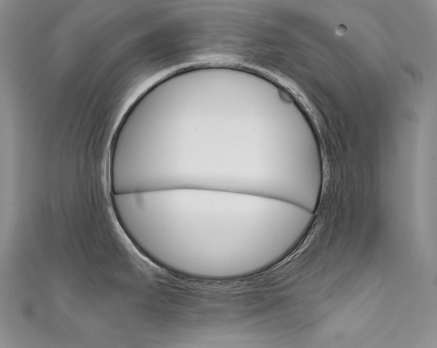 X0000111661295200907171112