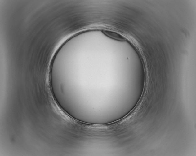 X0000111661296200907171112